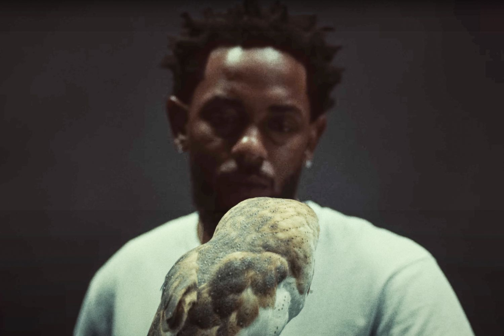Kendrick Lamar Not Like Us